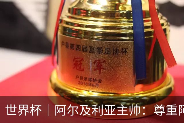 世界杯｜阿尔及利亚主帅：尊重阿根廷，但我们有机会赢